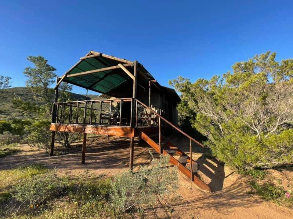 Agama Tented Camp Garies Εξωτερικό φωτογραφία