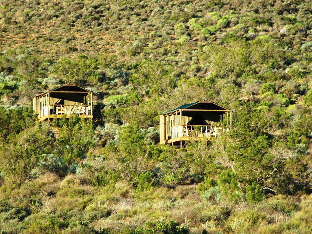 Agama Tented Camp Garies Εξωτερικό φωτογραφία