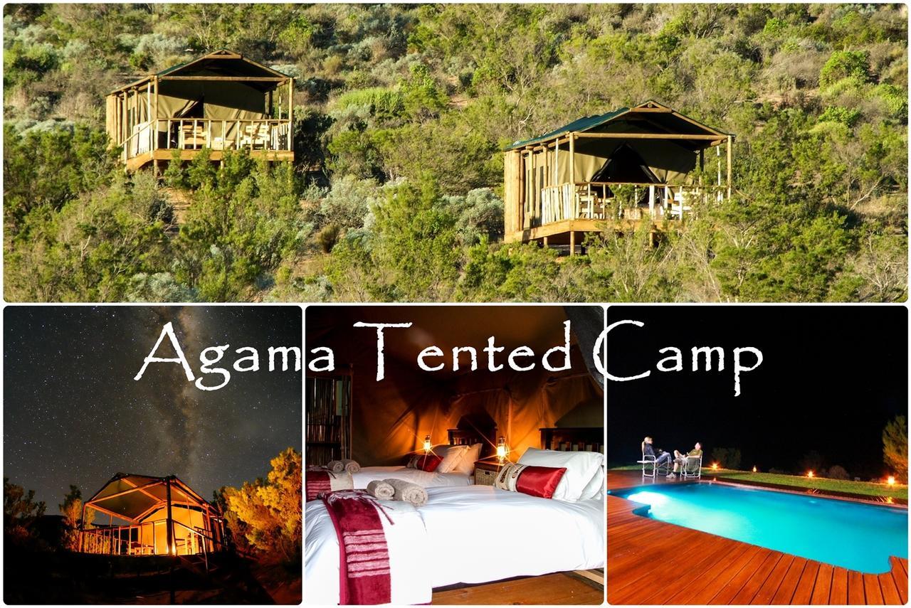 Agama Tented Camp Garies Εξωτερικό φωτογραφία